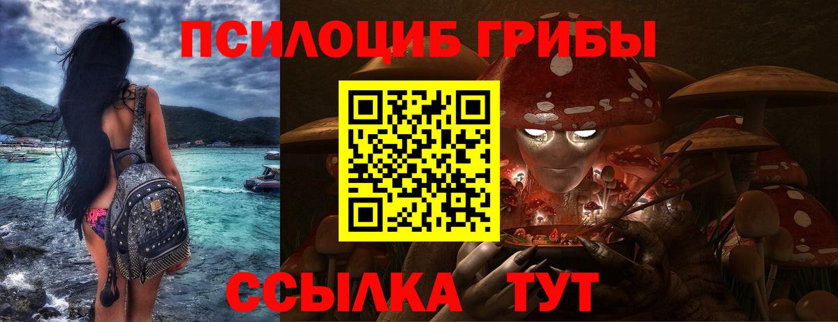 Псилоцибиновые грибы Psilocybe  Вход с VPN  Псилоцибиновые грибы MAGIC MUSHROOMS  Переславль-Залесский 